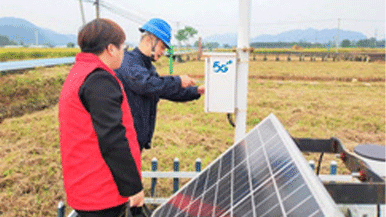浙江5g应用硕果累累